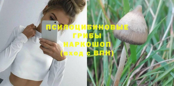 PSILOCYBIN Вязьма