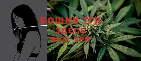 МДМА Горняк
