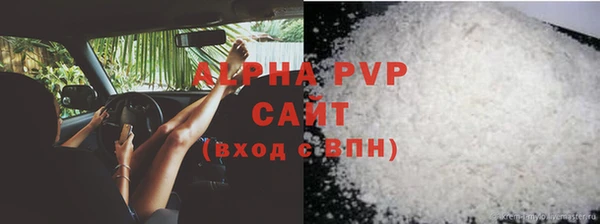 PSILOCYBIN Вязьма