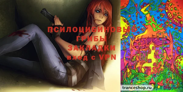 прущие крисы Вяземский