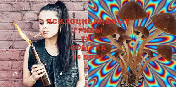 эйфоретик Вязники